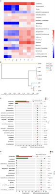 Fermentation properties and functional stability of dough starter Jiaozi and Laomian after frozen storage